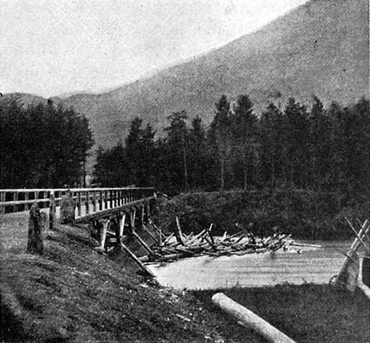 Bilete 35. Vossabrui i 1870-åri, sedd mot vest mot fureskogen i Lekvesmoen. Fot. Johanne Skagen.